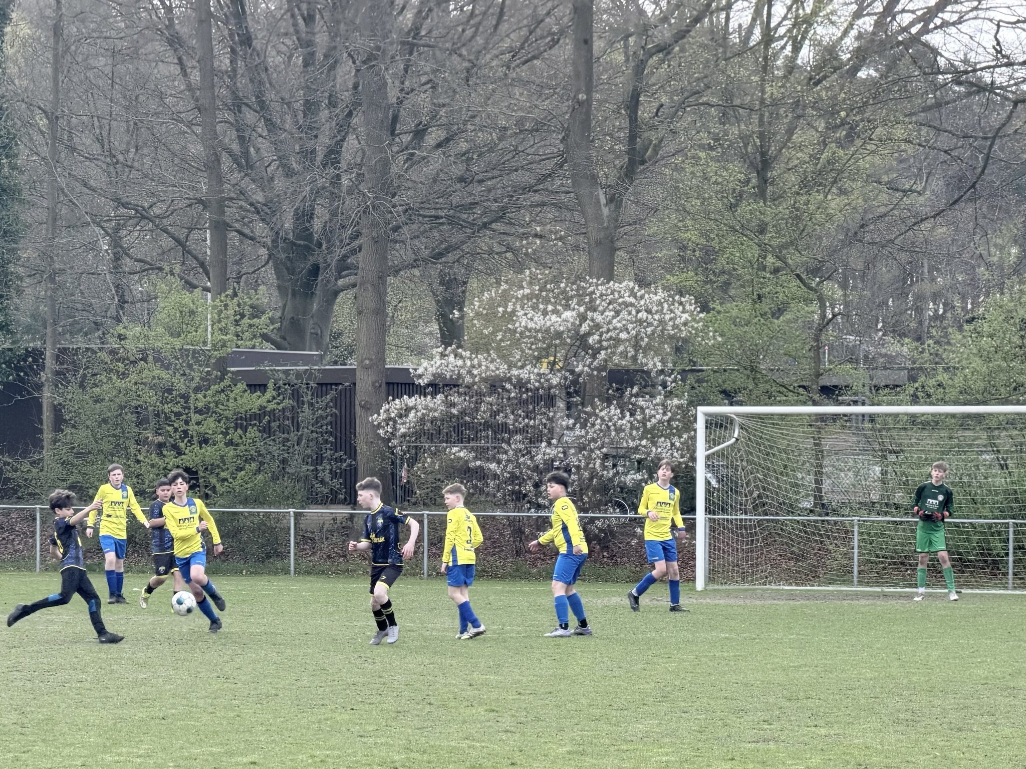 sv Hatto-Heim JO13-2 verliest van fysiek Batavia